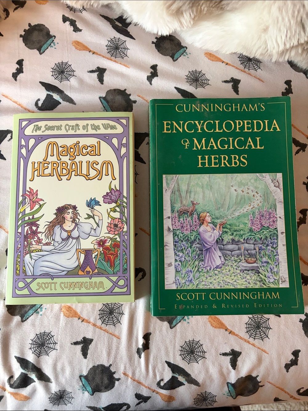 Magical Herbalism & Encyclopedia of Magical Herbs 2 Book Set by Scott Cunningham